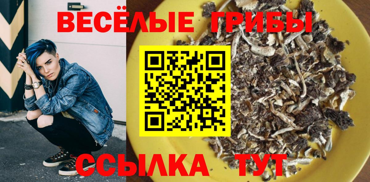 Галлюциногенные грибы Cubensis Ливны