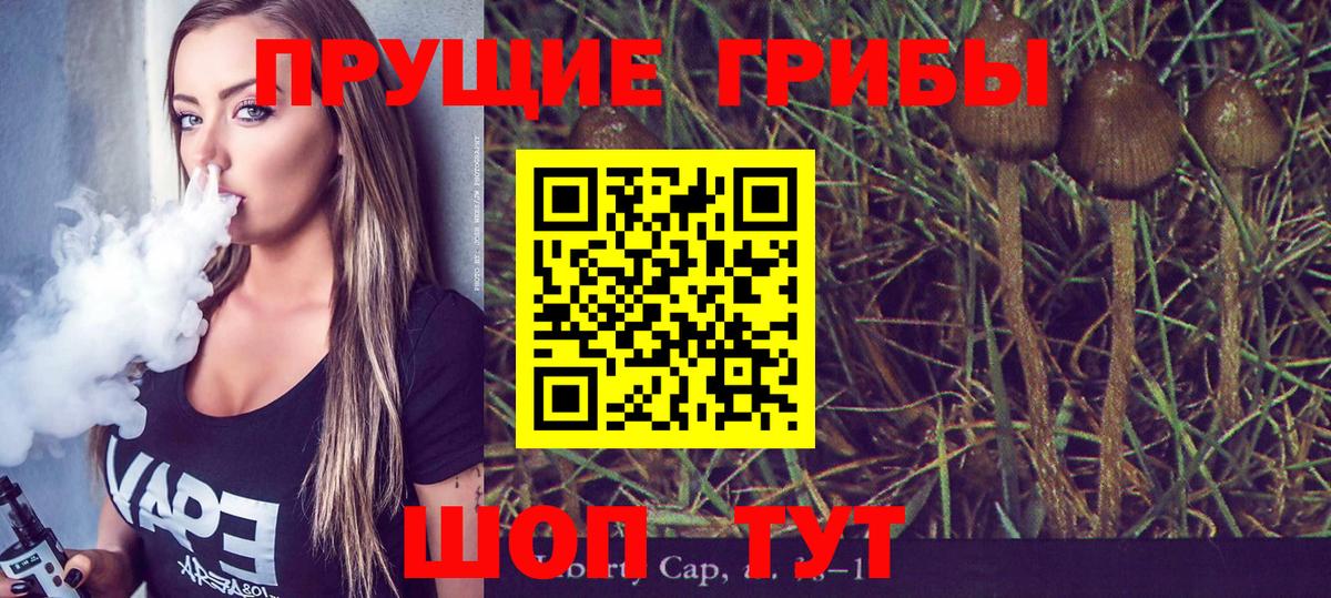 как найти   Галлюциногенные грибы Cubensis  Вход с VPN  Ливны 